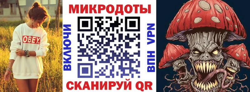 Псилоцибиновые грибы Psilocybe купить закладку Чебоксары